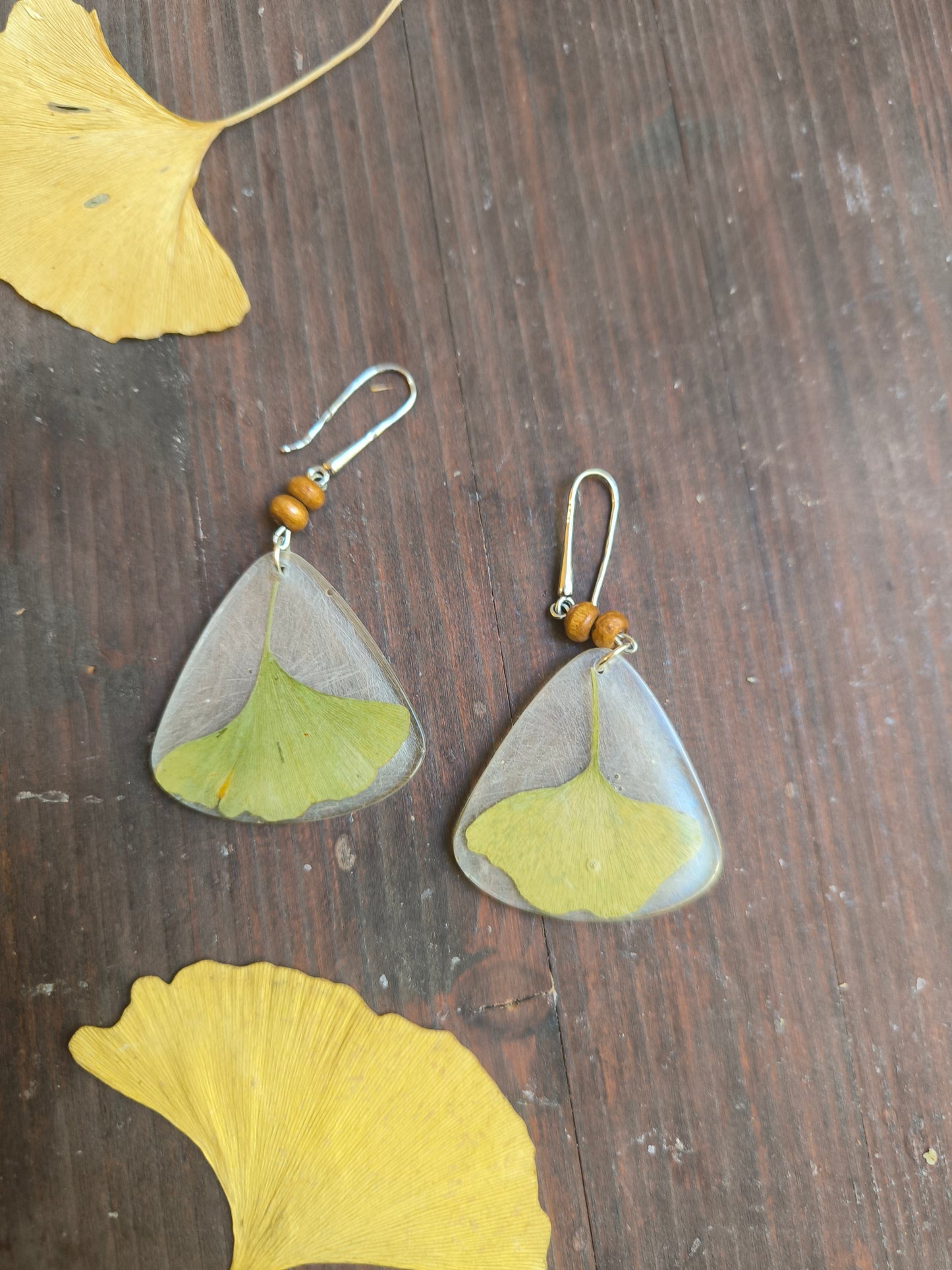 Orecchini Botanici "Ginkgo Biloba"