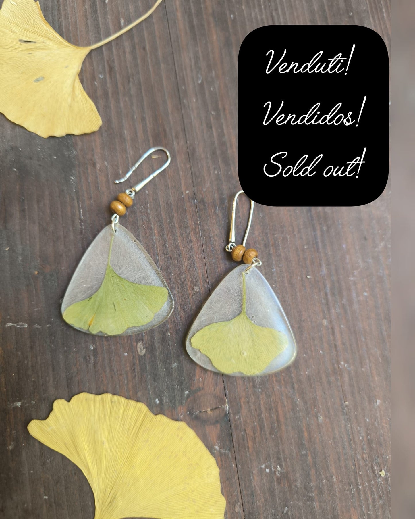 Orecchini Botanici "Ginkgo Biloba"