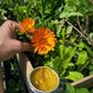 Balsamo Botanico di Calendula